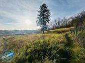 Prodej - pozemek pro bydlení, 1 306 m²
