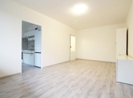 IMG_6293 (1) | Pronájem bytu, 3+1, 61 m²