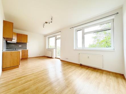 IMG_5099 | Pronájem bytu, 2+kk, 51 m²