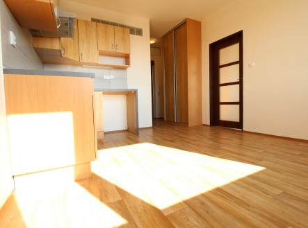Pronájem bytu, 1+1, 39 m² obrázek