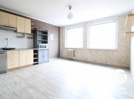 IMG_0406 | Pronájem bytu, 2+kk, 44 m²