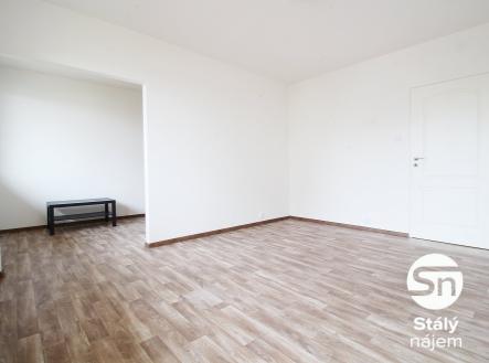 IMG_1598 | Pronájem bytu, 1+1, 41 m²