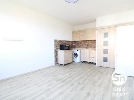 IMG_1145 | Pronájem bytu, 1+kk, 24 m²