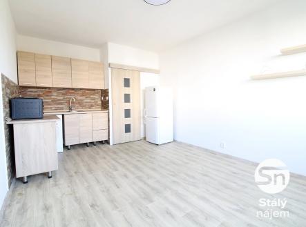IMG_1146 (1) | Pronájem bytu, 1+kk, 24 m²