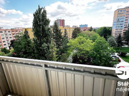 IMG_8524 | Pronájem bytu, 3+kk, 67 m²