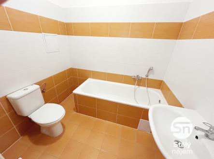 IMG_1028 | Pronájem bytu, 1+kk, 28 m²