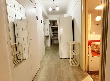 IMG_8490 | Pronájem bytu, 2+kk, 56 m²