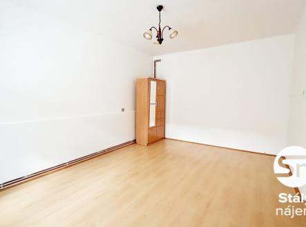 IMG_3563 | Pronájem bytu, 1+1, 47 m²