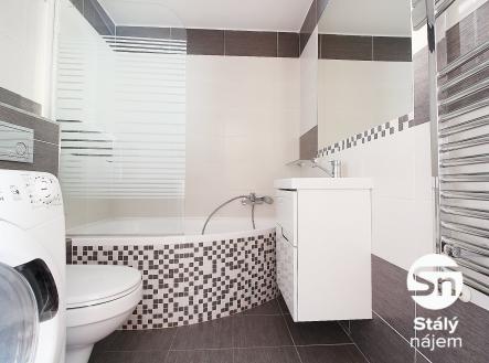 IMG_9585 | Pronájem bytu, 1+kk, 35 m²