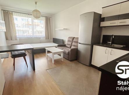 IMG_0535 | Pronájem bytu, 1+kk, 31 m²