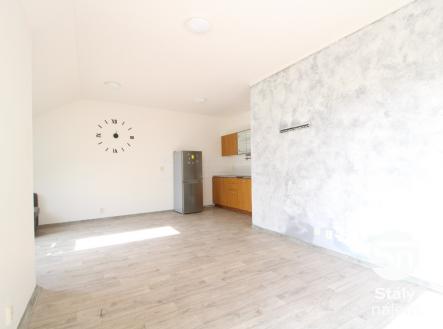 Pronájem bytu, 1+kk, 48 m² obrázek
