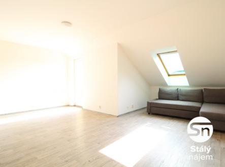 IMG_4188 | Pronájem bytu, 1+kk, 48 m²