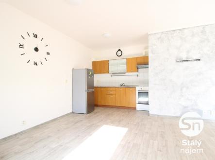 IMG_4174 | Pronájem bytu, 1+kk, 48 m²