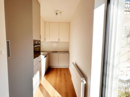 IMG_4825 | Pronájem bytu, 1+kk, 29 m²