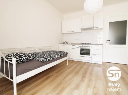 IMG_8535 | Pronájem bytu, 1+kk, 26 m²