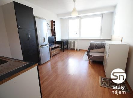 IMG_9542 | Pronájem bytu, 1+kk, 21 m²