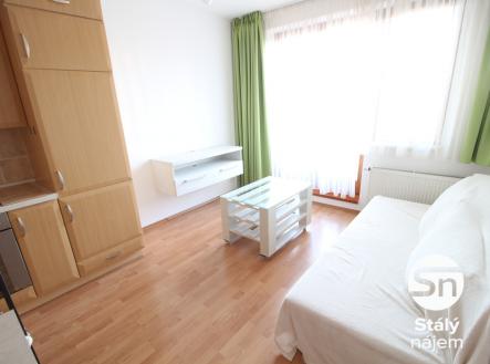 IMG_4853 | Pronájem bytu, 2+kk, 39 m²