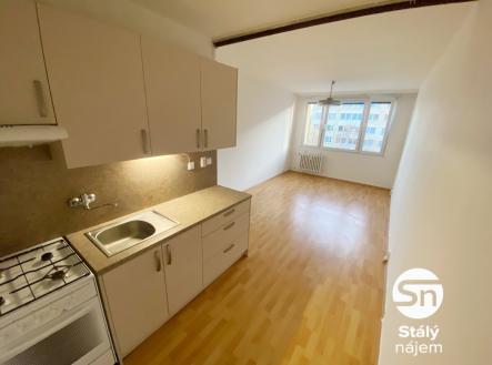 IMG_1303 | Pronájem bytu, 2+kk, 40 m²