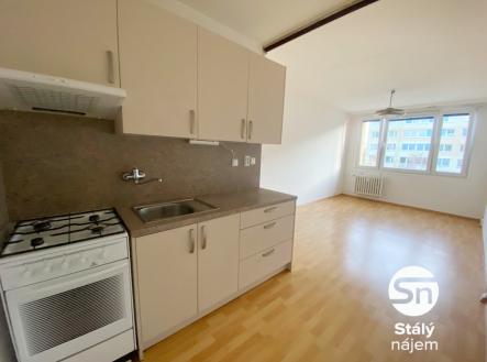 IMG_1304 | Pronájem bytu, 2+kk, 40 m²