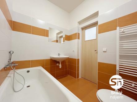 IMG_1031 | Pronájem bytu, 1+kk, 28 m²