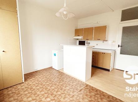 IMG_0800 | Pronájem bytu, 1+1, 35 m²