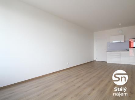 IMG_4518 | Pronájem bytu, 1+kk, 43 m²