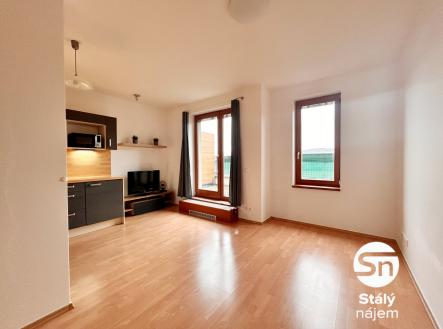 IMG_8927 | Pronájem bytu, 1+kk, 28 m²