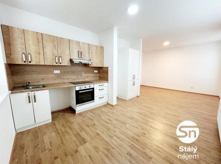 IMG_8719 | Pronájem bytu, 2+kk, 56 m²