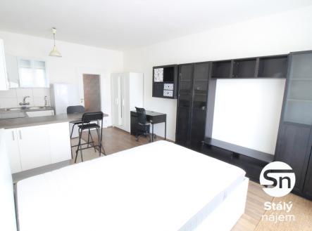 IMG_4087 | Pronájem bytu, 1+kk, 43 m²