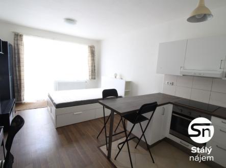 IMG_4106 | Pronájem bytu, 1+kk, 43 m²