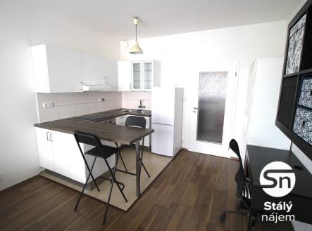 IMG_4101 | Pronájem bytu, 1+kk, 43 m²