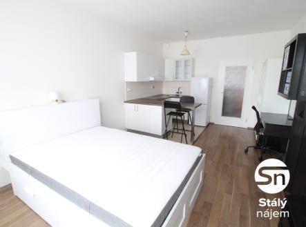 IMG_4082 | Pronájem bytu, 1+kk, 43 m²