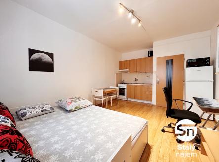 IMG_9301 | Pronájem bytu, 1+kk, 24 m²