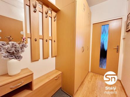 IMG_9297 | Pronájem bytu, 1+kk, 24 m²