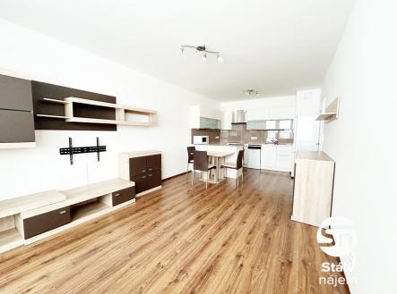 IMG_8960 | Pronájem bytu, 3+kk, 32 m²