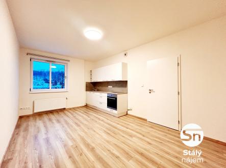 IMG_9276 | Pronájem bytu, 1+kk, 34 m²