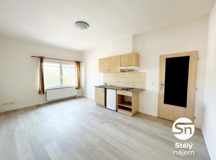 IMG_1037 | Pronájem bytu, 1+kk, 28 m²