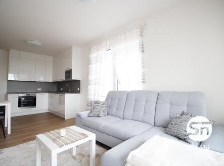 IMG_0542 | Pronájem bytu, 2+kk, 47 m²