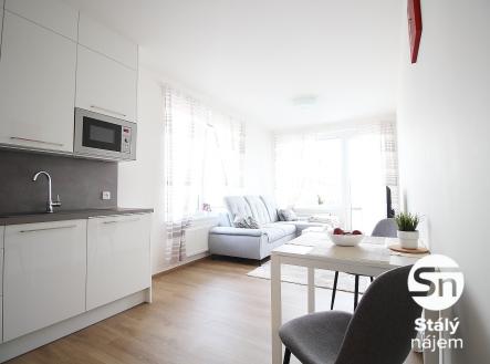 IMG_0549 | Pronájem bytu, 2+kk, 47 m²