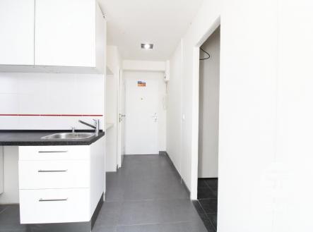 IMG_0283 | Pronájem bytu, 3+kk, 59 m²