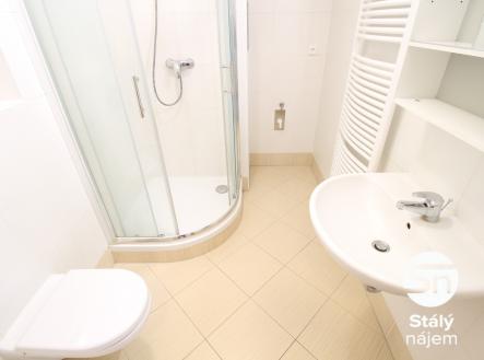 IMG_2211 | Pronájem bytu, 1+kk, 30 m²