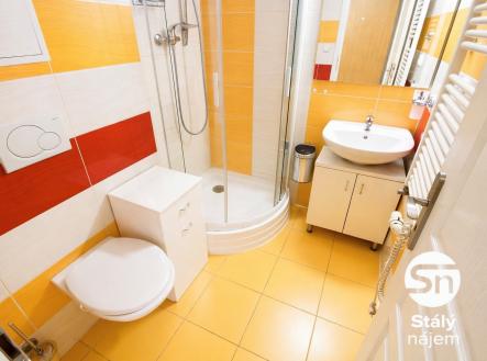 Pod Lipami_1 | Pronájem bytu, 1+kk, 30 m²