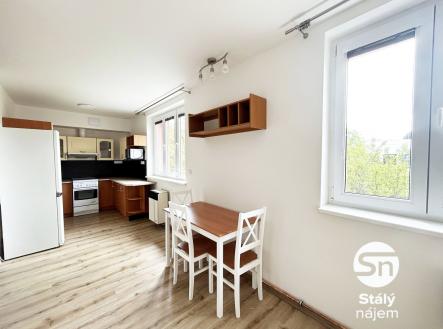 IMG_6184 | Pronájem bytu, 1+kk, 45 m²