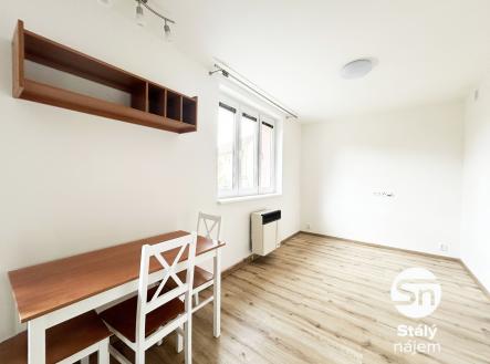 IMG_6177 | Pronájem bytu, 1+kk, 45 m²