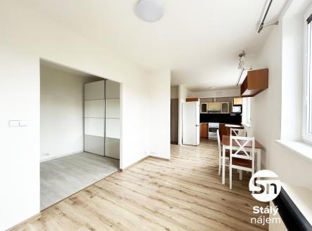 IMG_6179 | Pronájem bytu, 1+kk, 45 m²