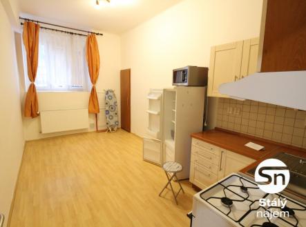 IMG_4967 | Pronájem bytu, 1+1, 46 m²