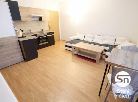 ul. Ječná_02 | Pronájem bytu, 1+kk, 32 m²