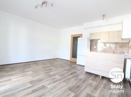 IMG_4557 | Pronájem bytu, 1+kk, 42 m²