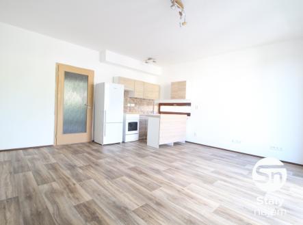 IMG_4561 | Pronájem bytu, 1+kk, 42 m²