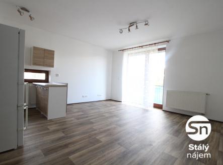 IMG_4567 | Pronájem bytu, 1+kk, 42 m²